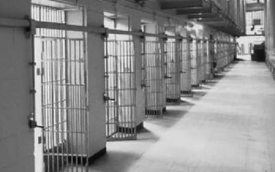 Hor dauzkagu, ez gaude bakarrik, ez gauzkate ahaztuta