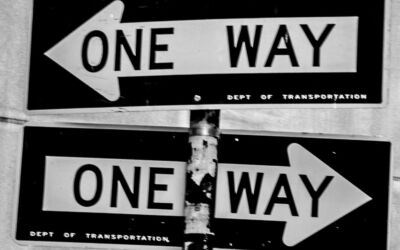 Kultura eta kultur lana autonomoak dira politikatik