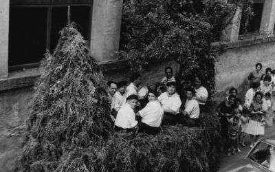 Hemen, eztula egin behar da