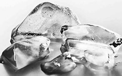 Sarrionandiak su hotza asmatu du