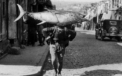 Deklaratzen du zer den bethi eta zer den sekula