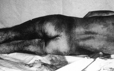 Munduak jakin zuen Joxe Arregi torturagatik hil zela. Historian hala geratuko da. Egindakoa ez zait inoiz damutu